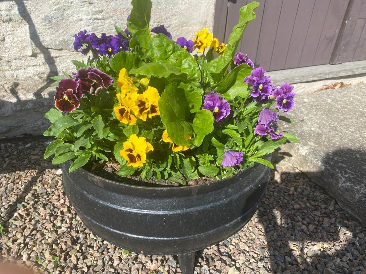 Stenbrottets Smedja Falköping Esterno foto